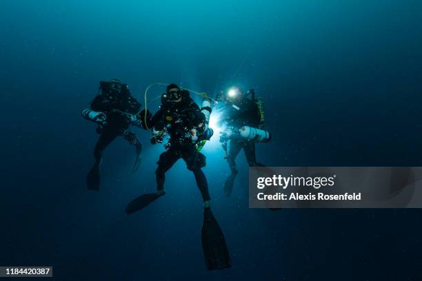 As part of the Amazon Reef Expedition, divers from the CNRS and Greenpeace dive with powerful diving lights to find their way in absolute darkness on...