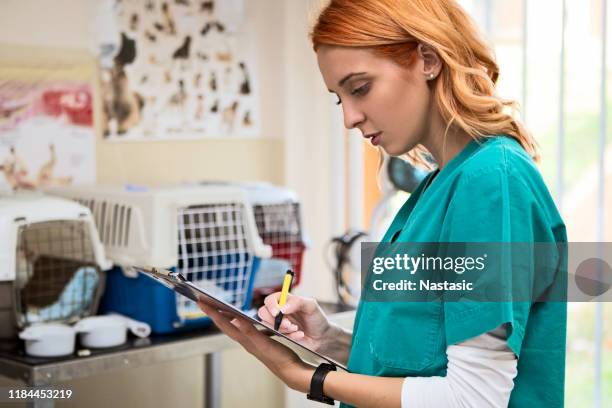 tierarzt überprüft inventar - ordination stock-fotos und bilder