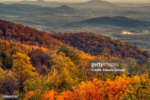 hogwallow flats overlook - shenandoah valley stock pictures, royalty-free photos & images