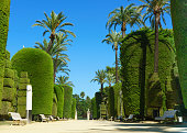 Genovese green garden in Cadiz, Andalusia, Spain