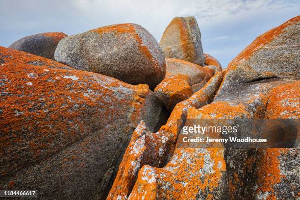 lichen covered granite rocks at eddystone point - bay of fires - fotografias e filmes do acervo