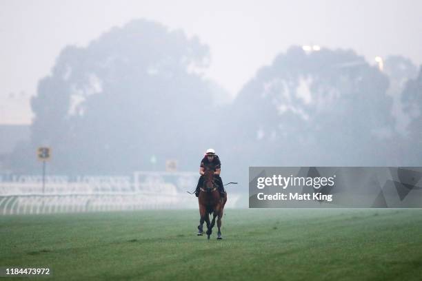 Kolding gallops during the Golden Eagle trackwork session at Rosehill Gardens on October 31, 2019 in Sydney, Australia.