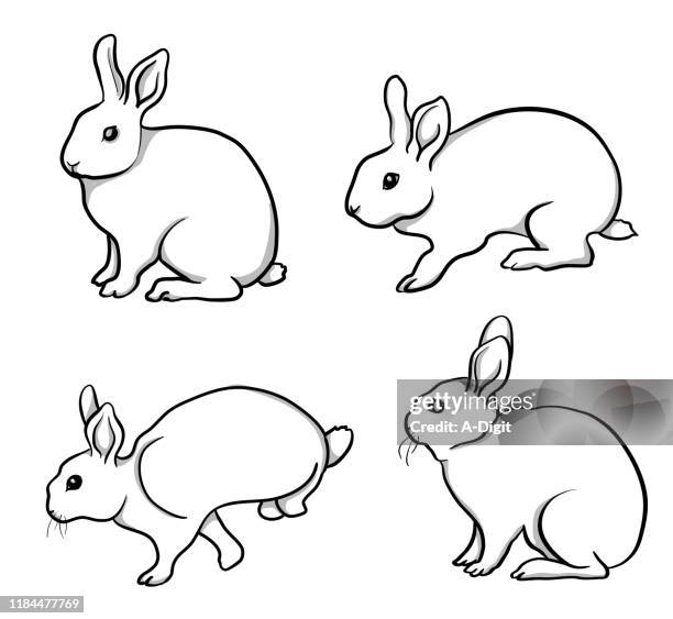 lively rabbits - rabbit stock illustrations