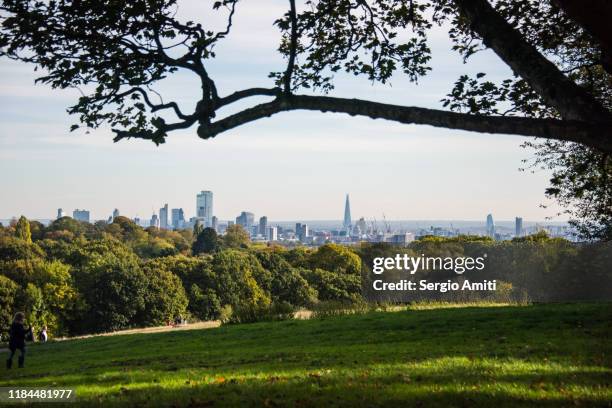 london skyline seen from heampstead heath - highgate stock-fotos und bilder