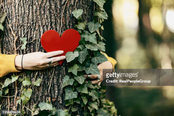closeup hands of woman hugging tree with heart shape, copy space. - earth day stock pictures, royalty-free photos & images