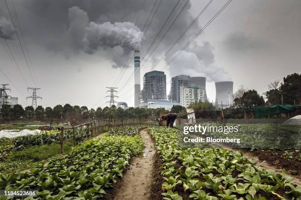 Bloomberg Best of the Year 2019: A man tends to vegetables in a field as emissions rise from nearby cooling towers of a coal-fired power station in...