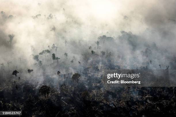 Bloomberg Best of the Year 2019: Smoke rises as a fires burn in the Amazon rainforest in this aerial photograph taken above the Candeias do Jamari...