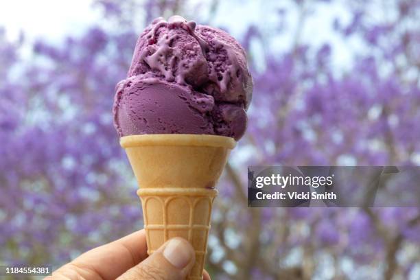 beautiful purple jacaranda trees with purple ice-cream in foreground - jacaranda tree stock pictures, royalty-free photos & images