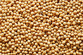 Close-up of piles of soy beans