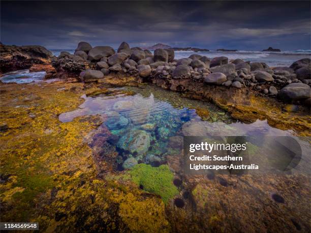 cresswell's bay at low tide on norfolk island, south pacific. - cresswell stock pictures, royalty-free photos & images