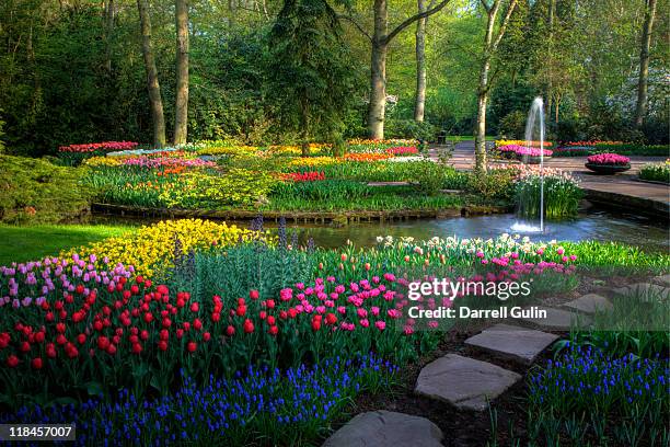 springtime keukenhof gardens with pathway - sentiero di giardino foto e immagini stock