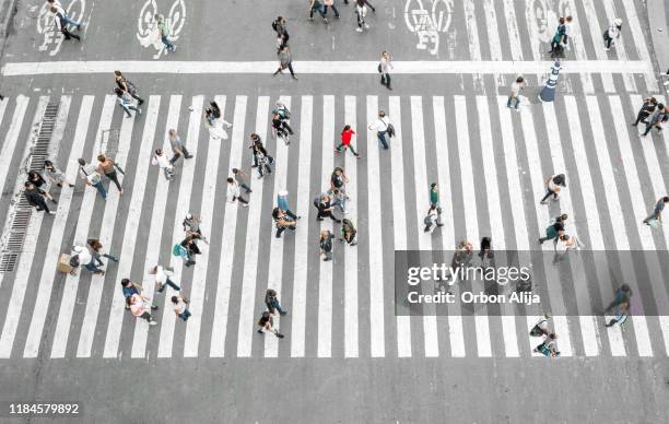 woman standing out of a crowd wearing red clothes - zebra crossing stock pictures, royalty-free photos & images