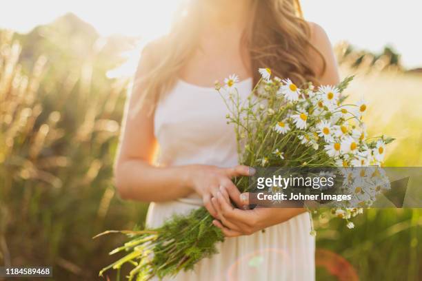 woman holding white flowers - margarita común fotografías e imágenes de stock