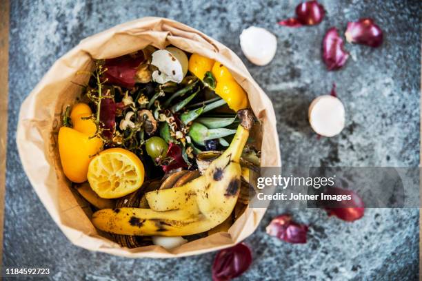 fruit and vegetable scraps - compost stockfoto's en -beelden