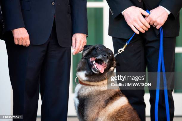 OffbeaUS Vice President Mike Pence stands with Conan, the military dog that was involved with the death of ISIS leader Abu Bakr al-Baghdadi, at the...