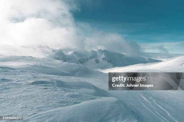 winter landscape - swedish lapland 個照片及圖片檔