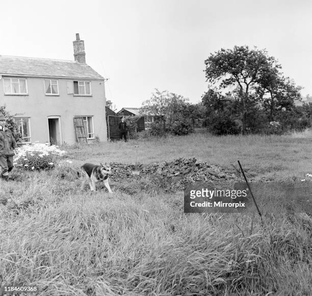 Hole dug by gang at farmhouse, to dispose of evidence , in their haste the shovels were left behind, Leatherslade Farm, Buckinghamshire, Wednesday...