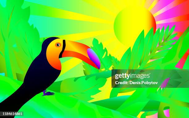 bildbanksillustrationer, clip art samt tecknat material och ikoner med flerfärgad regnbåge illustration av djungeln-toucan i djungeln. - rainbow forrest abstract