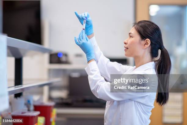 female laboratory technician checking a blood vial sample stock photo - blood plasma stock pictures, royalty-free photos & images