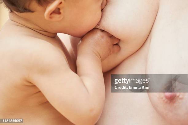 naked baby sucking naked mother's breast - allattare al seno bambino foto e immagini stock