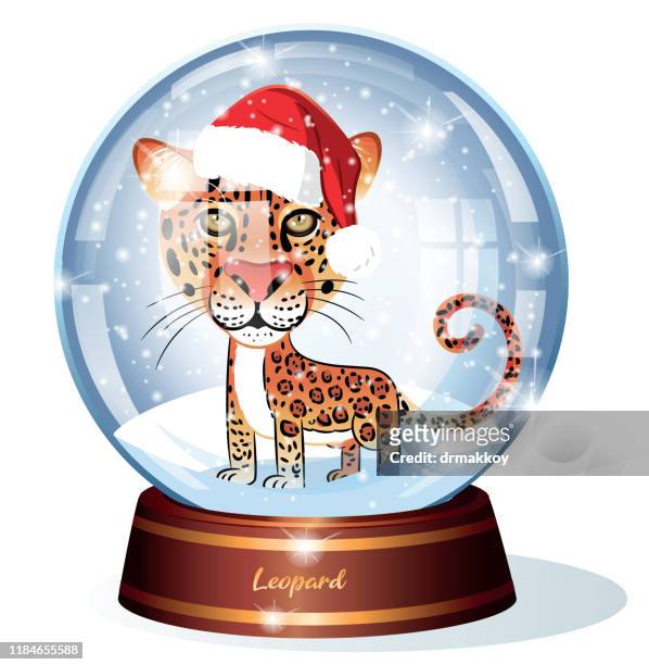 ilustrações, clipart, desenhos animados e ícones de leopardo, globo da neve - funny snow globe