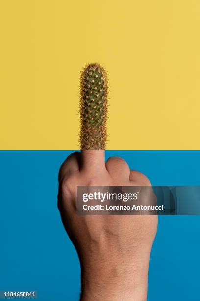 studio shot of man's hand giving the finger, the finger is replaced by a cactus, against a yellow and blue background - irony stockfoto's en -beelden