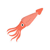 Squid animal cartoon character. Cartoon vector hand drawn eps 10 illustration isolated on white background in a flat style.