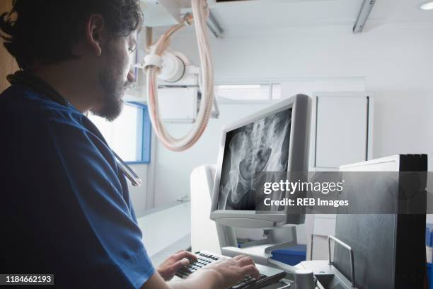 young male radiographer looking at xray of pelvis in radiology department - x ray pelvis stock pictures, royalty-free photos & images