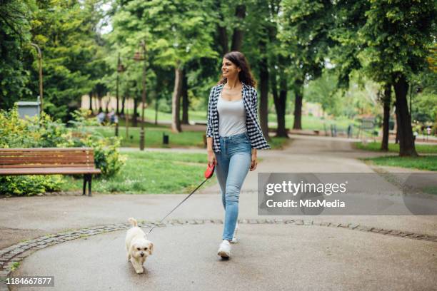 flickan njuter i parken med sin hund - walking dog bildbanksfoton och bilder