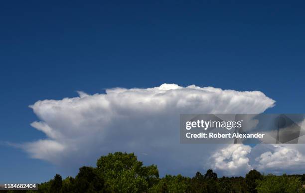 Anvil Shape Incus Incus Photos and Premium High Res Pictures - Getty Images