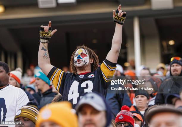 Pittsburgh Steelers fan is seen during the game against the Cincinnati Bengals at Paul Brown Stadium on November 24, 2019 in Cincinnati, Ohio.