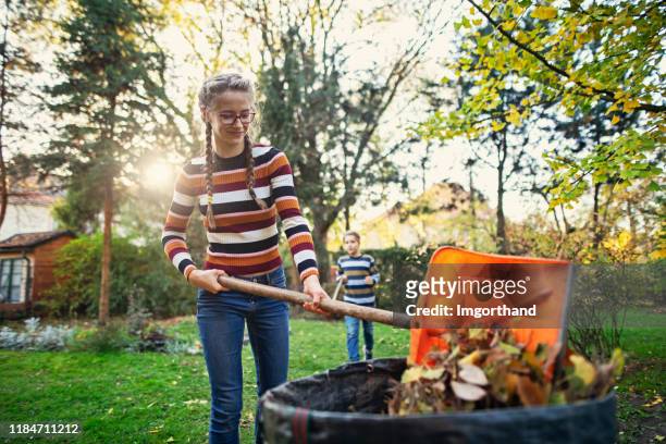 tonårs flicka kompostering höstlöv - hushållssyssla bildbanksfoton och bilder