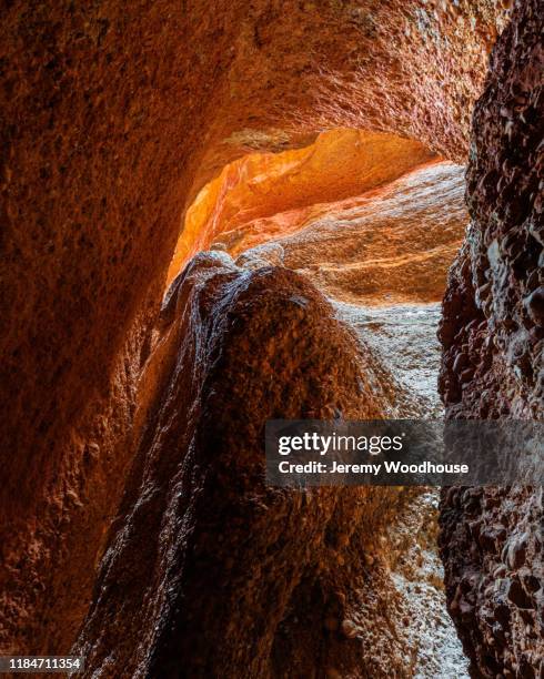 echidna chasm - tachyglossidae stock pictures, royalty-free photos & images