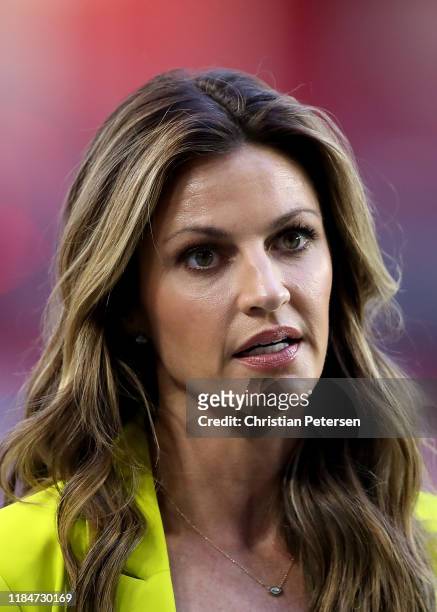 Fox Sports sideline reporter Erin Andrews stands on the sidelines before the game between the San Francisco 49ers and the Arizona Cardinals at State...