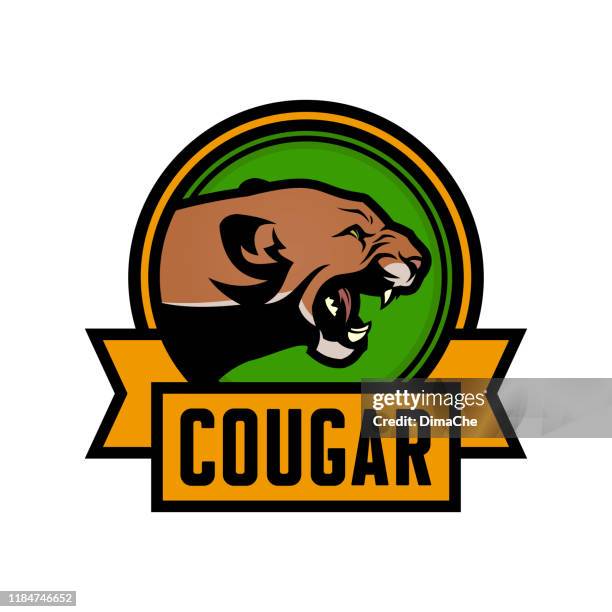 growling cougar vector emblem. angry puma head on emblem with replaceable text - bobcat stock illustrations