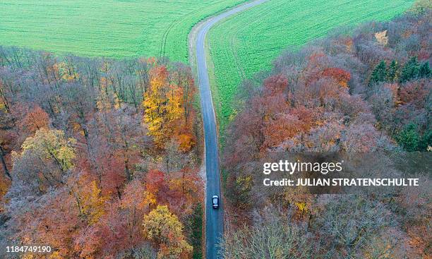 Hildesheim Forest Photos and Premium High Res Pictures Getty Images