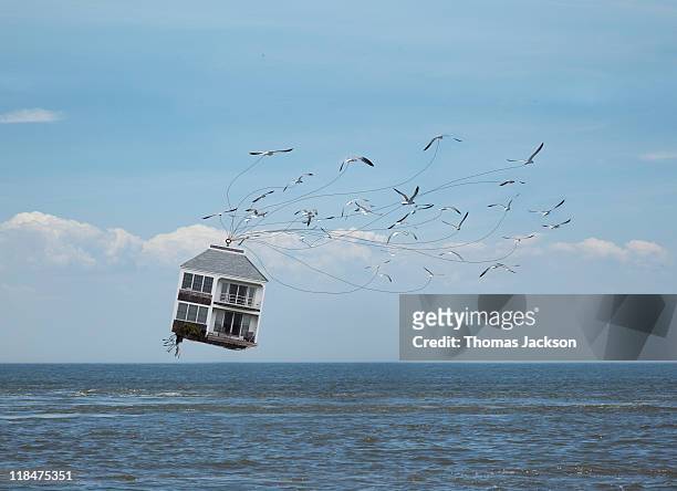 house being carried off by birds - out of context imagens e fotografias de stock
