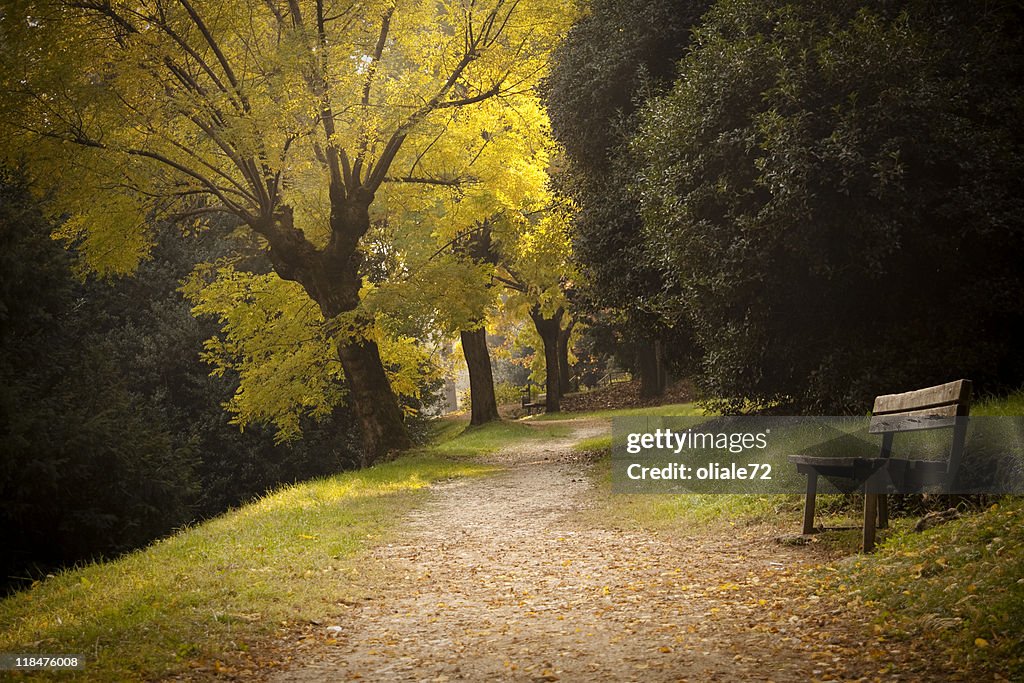 Beautiful and quite park with warm autumn color