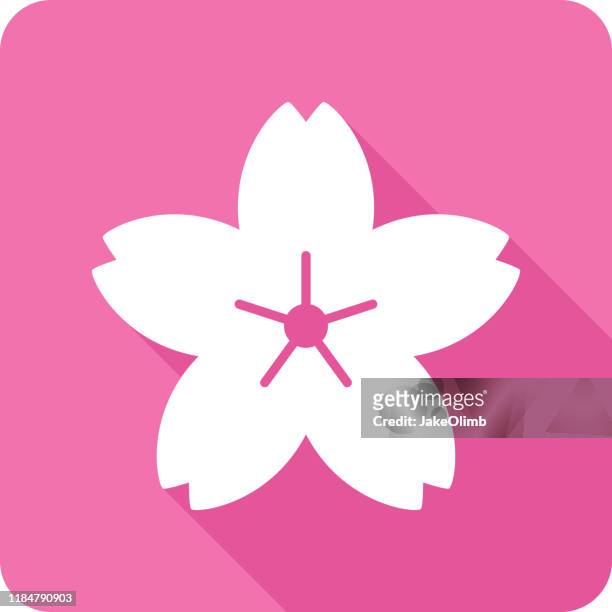 cherry blossom petal icon silhouette - cherry blossom icon stock illustrations