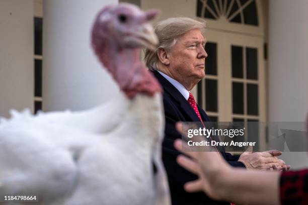 President Donald Trump stands next to Butter, the National Thanksgiving Turkey, after giving him a presidential pardon during the traditional event...