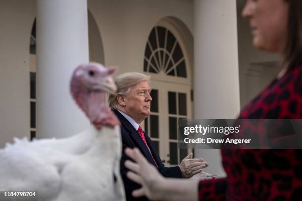 President Donald Trump stands next to Butter, the National Thanksgiving Turkey, after giving him a presidential pardon during the traditional event...