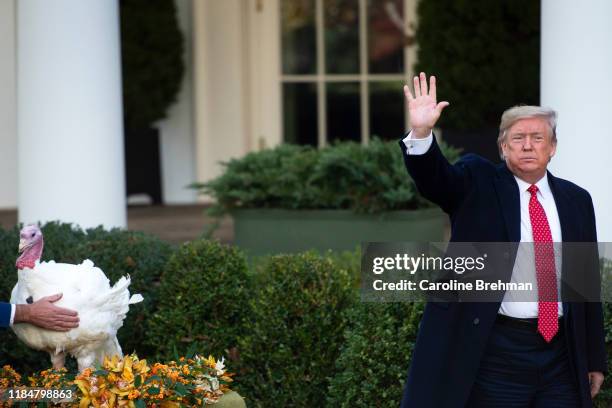 President Donald Trump waves as he departs after giving Butter a National Thanksgiving Turkey, a pardon during a ceremony in the Rose Garden of the...