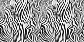 Seamless vector black and white zebra stripes pattern. Stylish wild zebra print. Animal print background for fabric, textile, design, cover etc. 10 eps design.