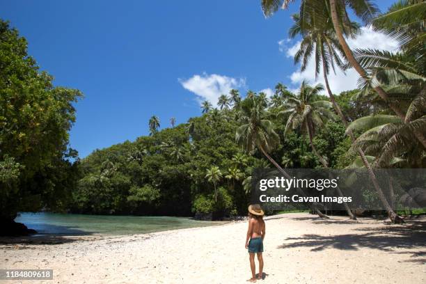 latin guy, with hat and swuimsuit, at tropical beach of south pacific - sabbatical stockfoto's en -beelden