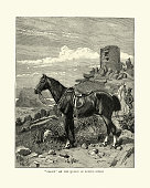 Riderless horse, on the Queen of Spain's chair, Gibraltar, 1886