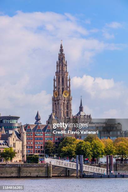 belgium, antwerp - cathedral of our lady - scheldt river stock pictures, royalty-free photos & images