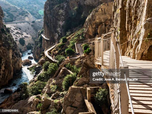 walkway and wooden bridges pinned along the steep walls of a narrow gorge in the nature. caminito del rey (the king walkway), malaga, andalusia, spain. - caminito del rey fotografías e imágenes de stock