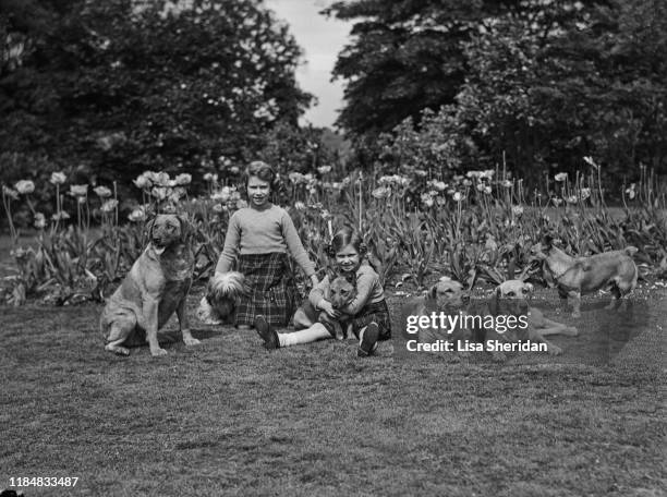 The Royal Princesses Margaret and Elizabeth with their dogs, including Pembroke Welsh Corgi dogs Dookie and Jane and Tibetan Lion Choo-Choo, at the...