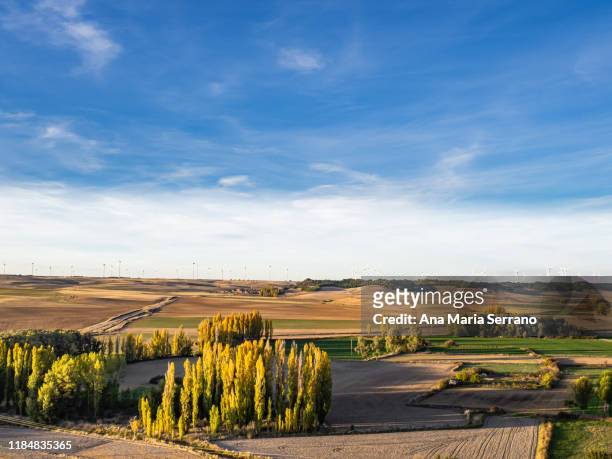 aerial view of a scenic autumn landscape with farm fields, rural roads, houses and wind turbines on the horizon in the spanish municipality of torrelobatón. - valladolid province stock pictures, royalty-free photos & images