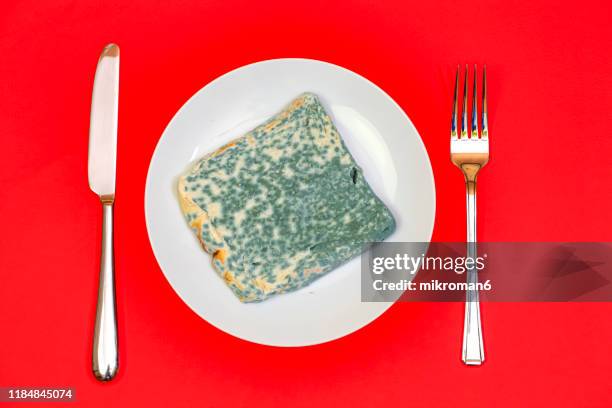 old rotting moldy food. moldy toast bread - moldy bread stock pictures, royalty-free photos & images